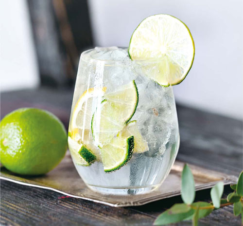 gin-and-tonic